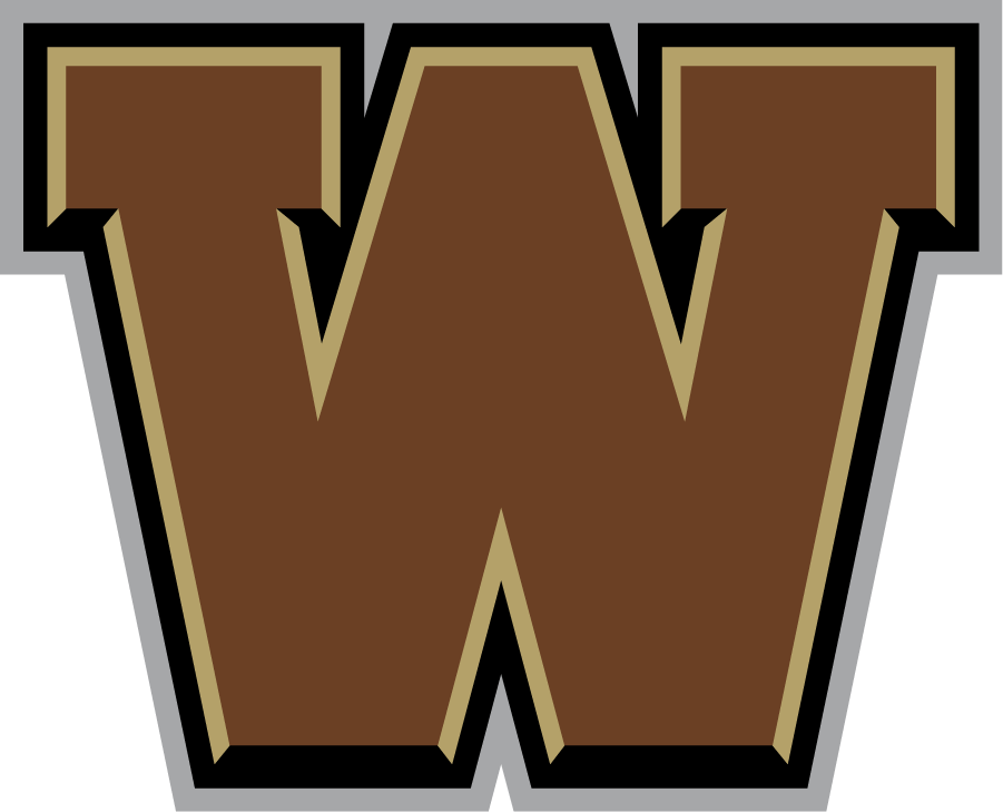 Western Michigan Broncos 2016-2021 Secondary Logo iron on transfers for clothing